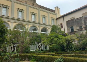 Università Suor Orsola Benincasa: candidature aperte per il Master in criminologia clinica e scienze forensi