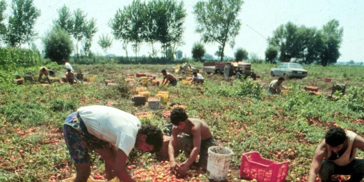 Cgia, un neoassunto su quattro è straniero