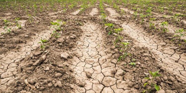 Teha, la crisi idrica in Italia costa 13 miliardi l’anno