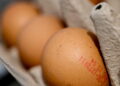 Listini delle uova decollano, +27% da inizio anno per quelle allevate a terra