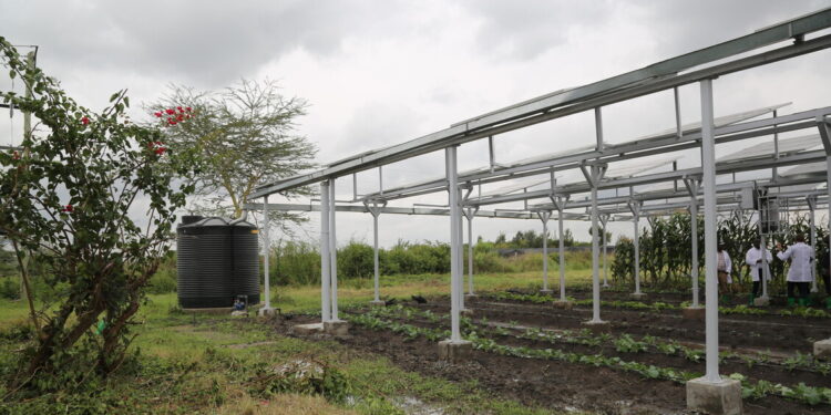 Da Mediocredito Centrale oltre 2milioni a Cogefeed per l’agrivoltaico