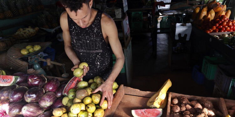 Cuba apre il commercio dei prodotti agricoli al settore privato