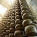Caldo, la produzione di latte per il Parmigiano giù del 10%