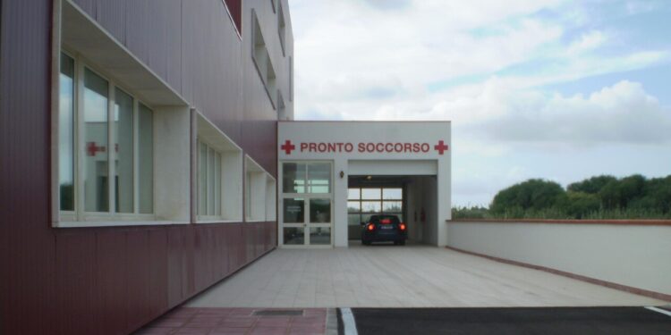 Salgono a 19 i casi di contagio di febbre del Nilo nell’Oristanese