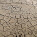 Guardian, ‘almeno 35.000 morti in Europa per ondate calore di questa estate’