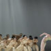 Torinodanza 2026 apre con Sounding Light alle Fonderie Limone