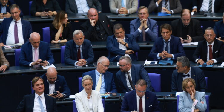 Leader Afd Weidel, elettori hanno chiarito che il governo Cdu-Spd è finito