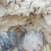 Scoperta archeologica a Sant’Elpidio a Mare, riaffiora una tomba picena