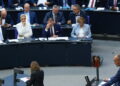 Merz attacca Afd, ‘la vostra remigrazione è pulizia etnica’