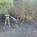 Si riaccende l’incendio che ha divorato 300 ettari in Ogliastra