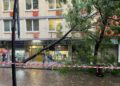 Ondata di maltempo, crolla un albero nel centro di Napoli
