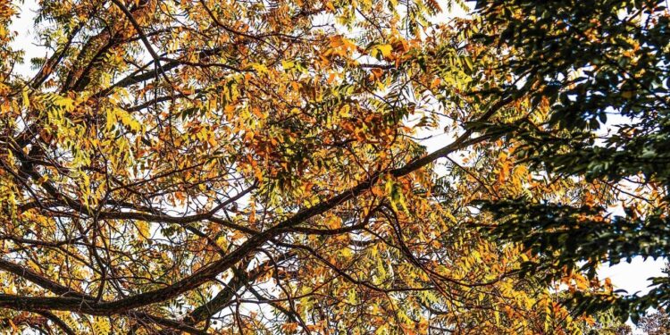 Tempo stabile e soleggiato con temperature miti fino a sabato