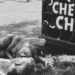 Le mostre del weekend, da Pontormo a Picabia e Avedon